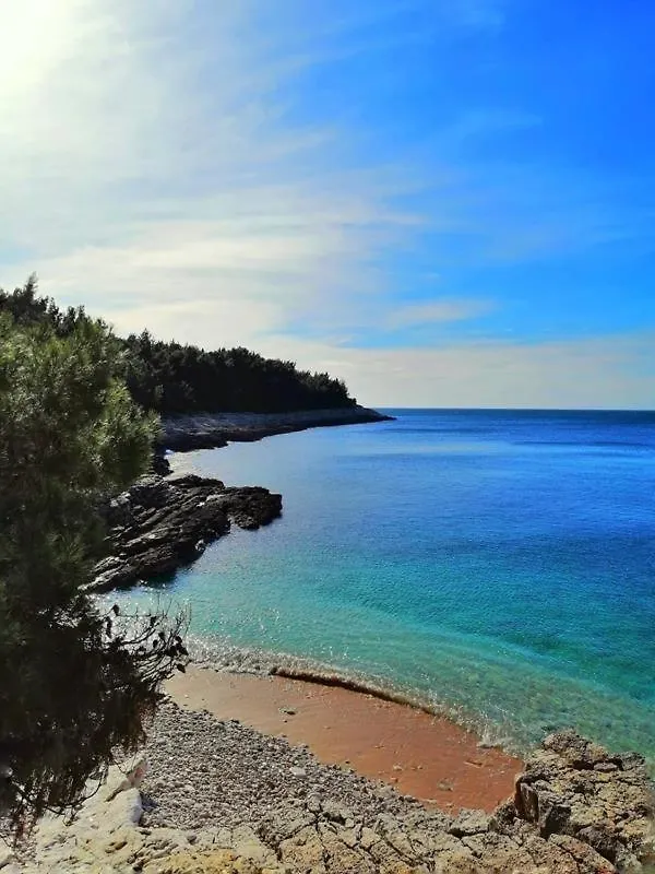 Appartamento Studio apartman DAMA Pola