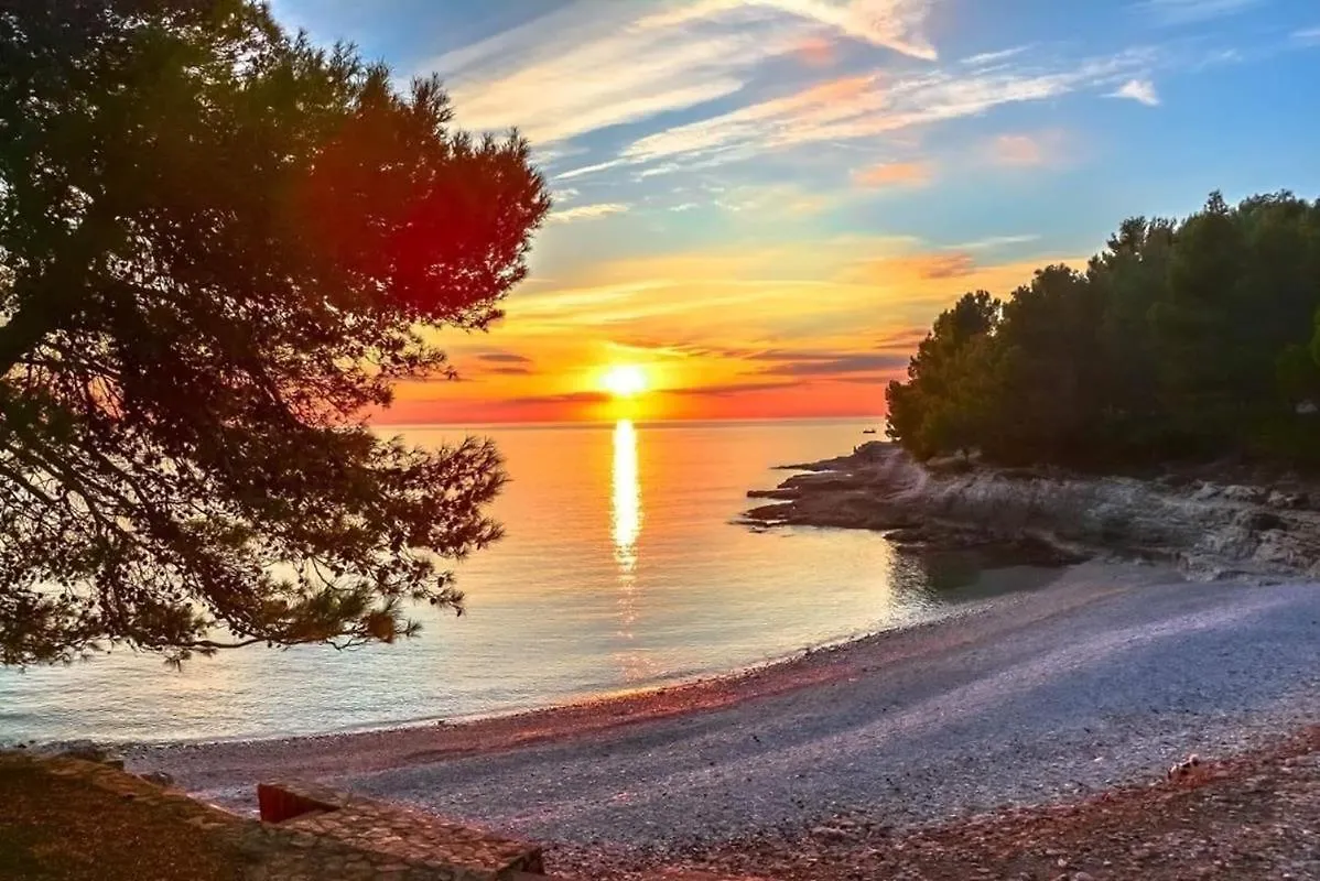 Appartamento Studio apartman DAMA Pola Croazia